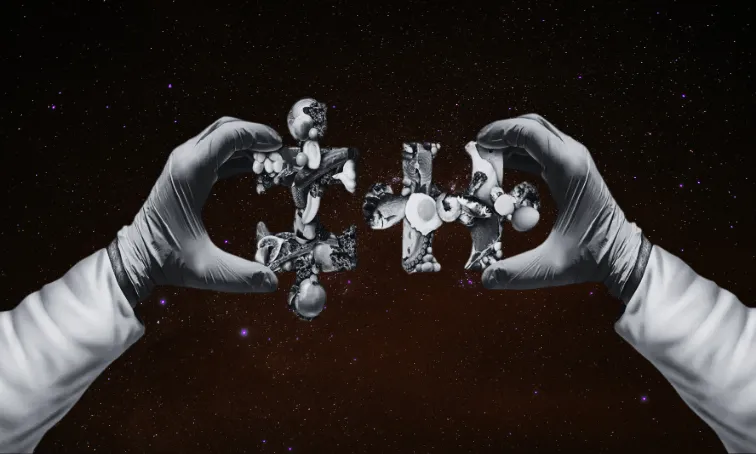 Bütüncül Beslenme görseli