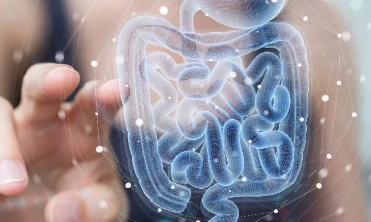 Crohn Hastalığı görseli